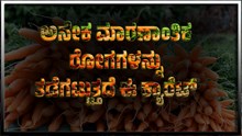 ಅನೇಕ ಮಾರಣಾಂತಿಕ ರೋಗಗಳನ್ನು ತಡೆಗಟ್ಟುತ್ತದೆ ಈ ಕ್ಯಾರೆಟ್ ಅನೇಕ ಮಾರಣಾಂತಿಕ ರೋಗಗಳನ್ನು ತಡೆಗಟ್ಟುತ್ತದೆ ಈ ಕ್ಯಾರೆಟ್
