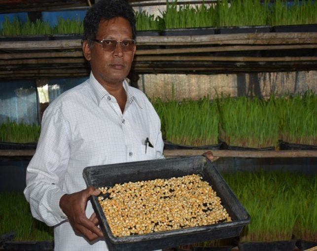 ಮೊದಲನೇಯ ದಿನ ಮೊದಲನೇಯ ದಿನ