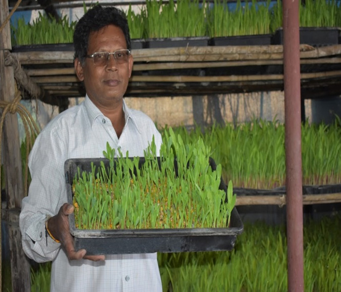 ನಾಲ್ಕನೇ ದಿನ ನಾಲ್ಕನೇ ದಿನ