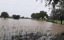 ಮಾಂಡೌಸ್ ಚಂಡಮಾರುತ ಅಪಾರ ಬೆಳೆಹಾನಿ: ಸಂಕಷ್ಟದಲ್ಲಿ ರೈತರು! ಮಾಂಡೌಸ್ ಚಂಡಮಾರುತ ಅಪಾರ ಬೆಳೆಹಾನಿ: ಸಂಕಷ್ಟದಲ್ಲಿ ರೈತರು!