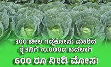 300 ಚೀಲ ಗಡ್ಡೆಕೋಸು ಮಾರಿದ ರೈತನಿಗೆ 70,000 ನೀಡುವುದಾಗಿ ನಂಬಿಸಿ ಕೇವಲ 600 ರೂ ನೀಡಿ ಮೋಸ! 300 ಚೀಲ ಗಡ್ಡೆಕೋಸು ಮಾರಿದ ರೈತನಿಗೆ 70,000 ನೀಡುವುದಾಗಿ ನಂಬಿಸಿ ಕೇವಲ 600 ರೂ ನೀಡಿ ಮೋಸ!