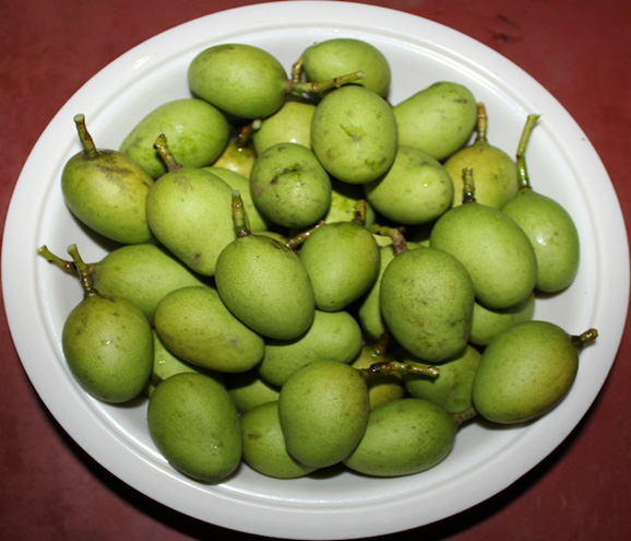 Raw mango benefits and usage Raw mango benefits and usage