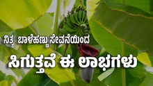 ನಿತ್ಯ  ಬಾಳೆಹಣ್ಣು ಸೇವನೆಯಿಂದ ಸಿಗುತ್ತವೆ ಈ ಲಾಭಗಳು