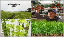 ಈ 4 ತಂತ್ರಗಳನ್ನು ಅಳವಡಿಸಿಕೊಂಡು ರೈತರು ಶ್ರೀಮಂತರಾಗುತ್ತಿದ್ದಾರೆ