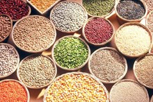 ಸಿರಿಧಾನ್ಯಗಳಲ್ಲಿ ಅಡಗಿರುವ ಪೌಷ್ಟಿಕತೆ ಮತ್ತು ಉಪಯೋಗ