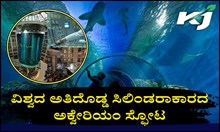 ವಿಶ್ವದ ಅತಿದೊಡ್ಡ ಸಿಲಿಂಡರಾಕಾರದ ಅಕ್ವೇರಿಯಂ  ಸ್ಫೋಟ: 1,500ಕ್ಕೂ ಹೆಚ್ಚು ಮೀನುಗಳ ಸಾವು ವಿಶ್ವದ ಅತಿದೊಡ್ಡ ಸಿಲಿಂಡರಾಕಾರದ ಅಕ್ವೇರಿಯಂ  ಸ್ಫೋಟ: 1,500ಕ್ಕೂ ಹೆಚ್ಚು ಮೀನುಗಳ ಸಾವು