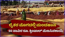 Chilli price: ಮೆಣಸಿನಕಾಯಿಗೆ ಬಂಪರ್ ಬೆಲೆ..ಎಕರೆಗೆ ಒಂದು ಲಕ್ಷ ಲಾಭ ಫಿಕ್ಸ್ Chilli price: ಮೆಣಸಿನಕಾಯಿಗೆ ಬಂಪರ್ ಬೆಲೆ..ಎಕರೆಗೆ ಒಂದು ಲಕ್ಷ ಲಾಭ ಫಿಕ್ಸ್