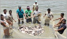 ಮೀನುಗಾರಿಕೆ ಮತ್ತು ಜಲಕೃಷಿ ಪ್ರಗತಿಗೆ ಮೀನುಗಾರಿಕೆ ಇಲಾಖೆಯ ಕ್ರಮಗಳು!