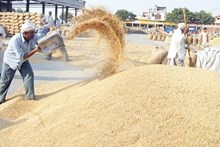 ಬೆಂಬಲ ಬೆಲೆ ಯೋಜನೆಯಡಿ ಭತ್ತ, ಬಿಳಿಜೋಳ ಖರೀದಿ ಕೇಂದ್ರ ಪ್ರಾರಂಭ   ಬೆಂಬಲ ಬೆಲೆ ಯೋಜನೆಯಡಿ ಭತ್ತ, ಬಿಳಿಜೋಳ ಖರೀದಿ ಕೇಂದ್ರ ಪ್ರಾರಂಭ
