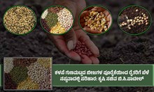 ಕಳಪೆ ಗುಣಮಟ್ಟದ ಬೀಜಗಳಿಂದ ರೈತರಿಗೆ ಬೆಳೆ ನಷ್ಟವಾದಲ್ಲಿ ಪರಿಹಾರ: ಕೃಷಿ ಸಚಿವ ಬಿ.ಸಿ.ಪಾಟೀಲ್ ಕಳಪೆ ಗುಣಮಟ್ಟದ ಬೀಜಗಳಿಂದ ರೈತರಿಗೆ ಬೆಳೆ ನಷ್ಟವಾದಲ್ಲಿ ಪರಿಹಾರ: ಕೃಷಿ ಸಚಿವ ಬಿ.ಸಿ.ಪಾಟೀಲ್