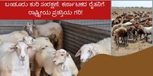 ಬಂಡೂರು ಕುರಿ ಸಂರಕ್ಷಣೆ: ಕರ್ನಾಟಕದ ರೈತನಿಗೆ ರಾಷ್ಟ್ರೀಯ ಪ್ರಶಸ್ತಿಯ ಗರಿ! ಬಂಡೂರು ಕುರಿ ಸಂರಕ್ಷಣೆ: ಕರ್ನಾಟಕದ ರೈತನಿಗೆ ರಾಷ್ಟ್ರೀಯ ಪ್ರಶಸ್ತಿಯ ಗರಿ!