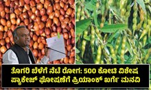 ತೊಗರಿ ಬೆಳೆಗೆ ನೆಟೆ ರೋಗ: ₹500 ಕೋಟಿ ವಿಶೇಷ ಪ್ಯಾಕೇಜ್ ಘೋಷಣೆಗೆ ಪ್ರಿಯಾಂಕ್ ಖರ್ಗೆ ಮನವಿ ತೊಗರಿ ಬೆಳೆಗೆ ನೆಟೆ ರೋಗ: ₹500 ಕೋಟಿ ವಿಶೇಷ ಪ್ಯಾಕೇಜ್ ಘೋಷಣೆಗೆ ಪ್ರಿಯಾಂಕ್ ಖರ್ಗೆ ಮನವಿ