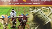ರೈತರಿಗೆ ಅಗ್ಗದ ಸಾಲ: ಪಂಜಾಬ್ ನ್ಯಾಷನಲ್ ಬ್ಯಾಂಕ್ ಘೋಷಣೆ! ರೈತರಿಗೆ ಅಗ್ಗದ ಸಾಲ: ಪಂಜಾಬ್ ನ್ಯಾಷನಲ್ ಬ್ಯಾಂಕ್ ಘೋಷಣೆ!