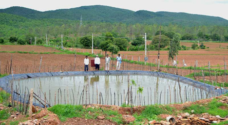 Farm Pond Farm Pond