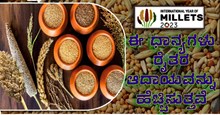International Year of Millets 2023: ಈ ಧಾನ್ಯಗಳು ರೈತರ ಆದಾಯವನ್ನು ಹೆಚ್ಚಿಸುತ್ತವೆ International Year of Millets 2023: ಈ ಧಾನ್ಯಗಳು ರೈತರ ಆದಾಯವನ್ನು ಹೆಚ್ಚಿಸುತ್ತವೆ