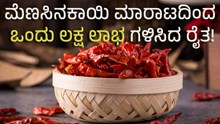 Chillies| ಮೆಣಸಿನಕಾಯಿ ಮಾರಾಟದಿಂದ ಒಂದು ಲಕ್ಷ ಲಾಭ ಗಳಿಸಿದ ರೈತ!
