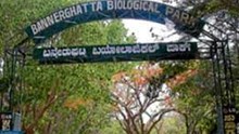 ಬೆಂಗಳೂರಿನ ಬನ್ನೇರುಘಟ್ಟ ರಾಷ್ಟ್ರೀಯ ಉದ್ಯಾನ; ಸುರಂಗ ರಸ್ತೆ ಇಲ್ಲ!  ಬೆಂಗಳೂರಿನ ಬನ್ನೇರುಘಟ್ಟ ರಾಷ್ಟ್ರೀಯ ಉದ್ಯಾನ; ಸುರಂಗ ರಸ್ತೆ ಇಲ್ಲ!