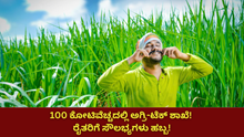 100 ಕೋಟಿ ವೆಚ್ಚದಲ್ಲಿ ಅಗ್ರಿ-ಟೆಕ್ ಶಾಖೆ: ರೈತರಿಗೆ ಸೌಲಭ್ಯಗಳ ಹಬ್ಬ!  100 ಕೋಟಿ ವೆಚ್ಚದಲ್ಲಿ ಅಗ್ರಿ-ಟೆಕ್ ಶಾಖೆ: ರೈತರಿಗೆ ಸೌಲಭ್ಯಗಳ ಹಬ್ಬ!