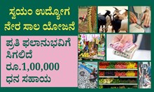 ಸ್ವಯಂ ಉದ್ಯೋಗಕ್ಕೆ ನೇರ ಸಾಲ ಯೋಜನೆ: ಪ್ರತಿ ಫಲಾನುಭವಿಗೆ ಸಿಗಲಿದೆ ರೂ.1,00,000 ಧನ ಸಹಾಯ ಸ್ವಯಂ ಉದ್ಯೋಗಕ್ಕೆ ನೇರ ಸಾಲ ಯೋಜನೆ: ಪ್ರತಿ ಫಲಾನುಭವಿಗೆ ಸಿಗಲಿದೆ ರೂ.1,00,000 ಧನ ಸಹಾಯ