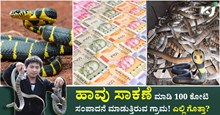Snake Farming: ಹಾವು ಸಾಕಣೆ ಮಾಡಿ 100 ಕೋಟಿ ಸಂಪಾದನೆ ಮಾಡುತ್ತಿರುವ ಗ್ರಾಮ! ಎಲ್ಲಿ ಗೊತ್ತಾ?