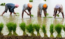 PM-KISAN: ಪಿಎಂ ಕಿಸಾನ್ ಫಲಾನುಭವಿಗಳ ಸಂಖ್ಯೆ 10.45 ಕೋಟಿಗೆ ಏರಿಕೆ