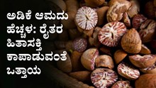 ಅಡಿಕೆ ಆಮದು ಹೆಚ್ಚಳ: ರೈತರ ಹಿತಾಸಕ್ತಿ ಕಾಪಾಡುವಂತೆ ಒತ್ತಾಯ ಅಡಿಕೆ ಆಮದು ಹೆಚ್ಚಳ: ರೈತರ ಹಿತಾಸಕ್ತಿ ಕಾಪಾಡುವಂತೆ ಒತ್ತಾಯ