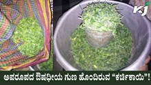 Kharchikayi | ಅಪರೂಪದ ಔಷಧೀಯ ಗುಣ ಹೊಂದಿರುವ “ಕರ್ಚಿಕಾಯಿ”! 