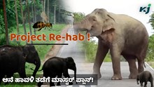 human animal conflict: ರೈತರಿಗೆ ಆನೆಗಳಿಂದ ಉಂಟಾಗುತ್ತಿರುವ ಹಾವಳಿ ತಡೆಗಟ್ಟಲು ಇಲ್ಲಿದೆ ಅದ್ಬುತ ಯೋಜನೆ! 