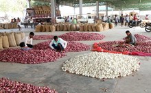 Market Price ತರಕಾರಿ, ಧಾನ್ಯಗಳ ಬುಧವಾರದ ಮಾರುಕಟ್ಟೆ ದರ ವಿವರ ಈ ರೀತಿ ಇದೆ