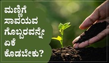 ಮಣ್ಣಿಗೆ ಸಾವಯವ ಗೊಬ್ಬರವನ್ನೇ ಏಕೆ ಕೊಡಬೇಕು? ಇಲ್ಲಿದೆ ಈ ಕುರಿತಾದ ತಜ್ಞರ ಸಲಹೆ