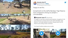 ವಿದ್ಯುತ್ ಸ್ಪರ್ಶದಿಂದ ಆನೆಯನ್ನು ರಕ್ಷಿಸಿದಕ್ಕೆ ರಕ್ಷಿತಾರಣ್ಯದ ಸಿಬ್ಬಂದಿಗೆ ಪ್ರಧಾನಮಂತ್ರಿ ಅಭಿನಂದನೆ ವಿದ್ಯುತ್ ಸ್ಪರ್ಶದಿಂದ ಆನೆಯನ್ನು ರಕ್ಷಿಸಿದಕ್ಕೆ ರಕ್ಷಿತಾರಣ್ಯದ ಸಿಬ್ಬಂದಿಗೆ ಪ್ರಧಾನಮಂತ್ರಿ ಅಭಿನಂದನೆ