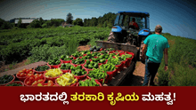 Vegetable farming In INDIA! ಭಾರತದಲ್ಲಿ ತರಕಾರಿ ಕೃಷಿಯ ಮಹತ್ವ ಏನು?