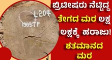 ಶತಮಾನದ ಹಿಂದೆ ಬ್ರಿಟೀಷರು ನೆಟ್ಟಿದ್ದ ಮರ ಲಕ್ಷ ಲಕ್ಷಕ್ಕೆ ಹರಾಜು! ಶತಮಾನದ ಹಿಂದೆ ಬ್ರಿಟೀಷರು ನೆಟ್ಟಿದ್ದ ಮರ ಲಕ್ಷ ಲಕ್ಷಕ್ಕೆ ಹರಾಜು!
