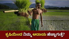 AGRI-Business Idea! ಕೃಷಿಯಿಂದ ನಿಮ್ಮ ಆದಾಯ ಹೆಚ್ಚಾಗುತ್ತೆ?  AGRI-Business Idea! ಕೃಷಿಯಿಂದ ನಿಮ್ಮ ಆದಾಯ ಹೆಚ್ಚಾಗುತ್ತೆ?