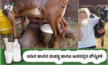 ಆಡಿನ ಹಾಲಿನ ಮಹತ್ವ ಹಾಗೂ ಅದರಲ್ಲಿನ ಪೌಷ್ಟಿಕತೆ