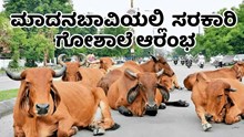 ಧಾರವಾಡದ ಮಾದನಬಾವಿಯಲ್ಲಿ  ಸರಕಾರಿ ಗೋಶಾಲೆ ಆರಂಭ; ನಿರಾಶ್ರಿತ, ಅಶಕ್ತ ದನಗಳನ್ನು ಬಿಡಲು ಅವಕಾಶ ಧಾರವಾಡದ ಮಾದನಬಾವಿಯಲ್ಲಿ  ಸರಕಾರಿ ಗೋಶಾಲೆ ಆರಂಭ; ನಿರಾಶ್ರಿತ, ಅಶಕ್ತ ದನಗಳನ್ನು ಬಿಡಲು ಅವಕಾಶ