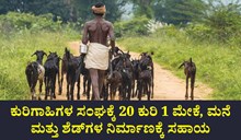 ಕುರಿಗಾಹಿಗಳ ಸಂಘಕ್ಕೆ 20 ಕುರಿ 1 ಮೇಕೆ, ಮನೆ ಮತ್ತು ಶೆಡ್ಗಳ ನಿರ್ಮಾಣಕ್ಕೆ ಸಹಾಯ ಕುರಿಗಾಹಿಗಳ ಸಂಘಕ್ಕೆ 20 ಕುರಿ 1 ಮೇಕೆ, ಮನೆ ಮತ್ತು ಶೆಡ್ಗಳ ನಿರ್ಮಾಣಕ್ಕೆ ಸಹಾಯ