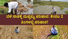 ಬೆಳೆ ನಾಶಕ್ಕೆ ದುಪ್ಪಟ್ಟು ಪರಿಹಾರ: ಕೇವಲ 2 ತಿಂಗಳಲ್ಲಿ ಪರಿಹಾರ! ಬೆಳೆ ನಾಶಕ್ಕೆ ದುಪ್ಪಟ್ಟು ಪರಿಹಾರ: ಕೇವಲ 2 ತಿಂಗಳಲ್ಲಿ ಪರಿಹಾರ!