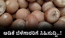ಅಡಿಕೆ ಬೆಳೆಗಾರರಿಗೆ ಸಿಹಿಸುದ್ದಿ: ಅಡಿಕೆಗೆ ಸಹಾಯ ಧನ ವಿಸ್ತರಣೆಗೆ ಸಿಎಂ ಬೊಮ್ಮಾಯಿ ಕ್ರಮ ಅಡಿಕೆ ಬೆಳೆಗಾರರಿಗೆ ಸಿಹಿಸುದ್ದಿ: ಅಡಿಕೆಗೆ ಸಹಾಯ ಧನ ವಿಸ್ತರಣೆಗೆ ಸಿಎಂ ಬೊಮ್ಮಾಯಿ ಕ್ರಮ