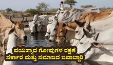 ವಯಸ್ಸಾದ ಗೋವುಗಳ ರಕ್ಷಣೆ ಸರ್ಕಾರ ಮತ್ತು ಸಮಾಜದ ಜವಾಬ್ದಾರಿ : ಸಿಎಂ ಬೊಮ್ಮಾಯಿ ವಯಸ್ಸಾದ ಗೋವುಗಳ ರಕ್ಷಣೆ ಸರ್ಕಾರ ಮತ್ತು ಸಮಾಜದ ಜವಾಬ್ದಾರಿ : ಸಿಎಂ ಬೊಮ್ಮಾಯಿ