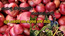 CROP INSURENCE -ಈರುಳ್ಳಿ ಬೆಳೆಗಾರರಿಗೆ ಸಿಹಿ ಸುದ್ದಿ :  ಪ್ರತಿ ಎಕರೆಗೆ ರೂ.4,200 ಬೆಳೆ ವಿಮೆ CROP INSURENCE -ಈರುಳ್ಳಿ ಬೆಳೆಗಾರರಿಗೆ ಸಿಹಿ ಸುದ್ದಿ :  ಪ್ರತಿ ಎಕರೆಗೆ ರೂ.4,200 ಬೆಳೆ ವಿಮೆ