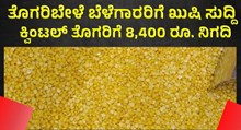 ತೊಗರಿಬೇಳೆ ಬೆಳೆಗಾರರಿಗೆ ಖುಷಿ ಸುದ್ದಿ : ಕ್ವಿಂಟಲ್ ತೊಗರಿಗೆ 8,400 ರೂ. ದರ ನಿಗದಿ  ತೊಗರಿಬೇಳೆ ಬೆಳೆಗಾರರಿಗೆ ಖುಷಿ ಸುದ್ದಿ : ಕ್ವಿಂಟಲ್ ತೊಗರಿಗೆ 8,400 ರೂ. ದರ ನಿಗದಿ