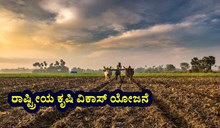 RKVY ಅಡಿಯಲ್ಲಿ "ನಾವೀನ್ಯತೆ ಮತ್ತು ಕೃಷಿ-ಉದ್ಯಮಶೀಲತೆ ಅಭಿವೃದ್ಧಿ" ಕಾರ್ಯಕ್ರಮ ಅನುಷ್ಠಾನ RKVY ಅಡಿಯಲ್ಲಿ "ನಾವೀನ್ಯತೆ ಮತ್ತು ಕೃಷಿ-ಉದ್ಯಮಶೀಲತೆ ಅಭಿವೃದ್ಧಿ" ಕಾರ್ಯಕ್ರಮ ಅನುಷ್ಠಾನ