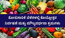 ತೋಟಗಾರಿಕೆ ಬೆಳೆಗಳಲ್ಲಿ ಕೊಯ್ಲೋತ್ತರ ನಿರ್ವಹಣೆ ಮತ್ತು ಮೌಲ್ಯವರ್ಧನಾ ಕ್ರಮಗಳು