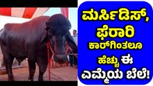 ಅಚ್ಚರಿ ಆದ್ರೂ ಸತ್ಯ ಕಣ್ರೀ: ಮರ್ಸಿಡಿಸ್‌, ಫೆರಾರಿ ಕಾರ್‌ಗಿಂತಲೂ ಹೆಚ್ಚು ಈ ಎಮ್ಮೆಯ ಬೆಲೆ!