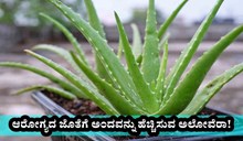 ಆರೋಗ್ಯದ ಜೊತೆಗೆ ಅಂದವನ್ನು ಹೆಚ್ಚಿಸುವ ಅಲೋವೆರಾ! 