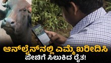 Online Fraud:  ಆನ್ಲೈನ್ನಲ್ಲಿ ಎಮ್ಮೆ ಖರೀದಿಸಿ ಪೇಚಿಗೆ ಸಿಲುಕಿದ ರೈತ! Online Fraud:  ಆನ್ಲೈನ್ನಲ್ಲಿ ಎಮ್ಮೆ ಖರೀದಿಸಿ ಪೇಚಿಗೆ ಸಿಲುಕಿದ ರೈತ!