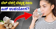 ಬೆಳ್‌ ಬೆಳಿಗ್ಗೆ ಬೆಳ್ಳುಳ್ಳಿ ನೀರು! ಇದ್ರಿಂದ ಏನ್‌ ಉಪಯೋಗ..?