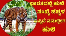 Tiger Population ಭಾರತದಲ್ಲಿ ಹುಲಿಗಳ ಸಂತತಿ ಹೆಚ್ಚಳ: ಎಷ್ಟಿದೆ ನಮಲ್ಲಿ ಹುಲಿ?!