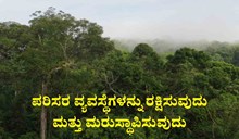 ಪರಿಸರ ವ್ಯವಸ್ಥೆಗಳನ್ನು ರಕ್ಷಿಸುವುದು ಮತ್ತು ಮರುಸ್ಥಾಪಿಸುವುದು ಪರಿಸರ ವ್ಯವಸ್ಥೆಗಳನ್ನು ರಕ್ಷಿಸುವುದು ಮತ್ತು ಮರುಸ್ಥಾಪಿಸುವುದು